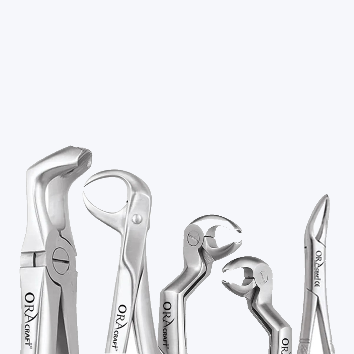 Oracraft Extraction Forceps